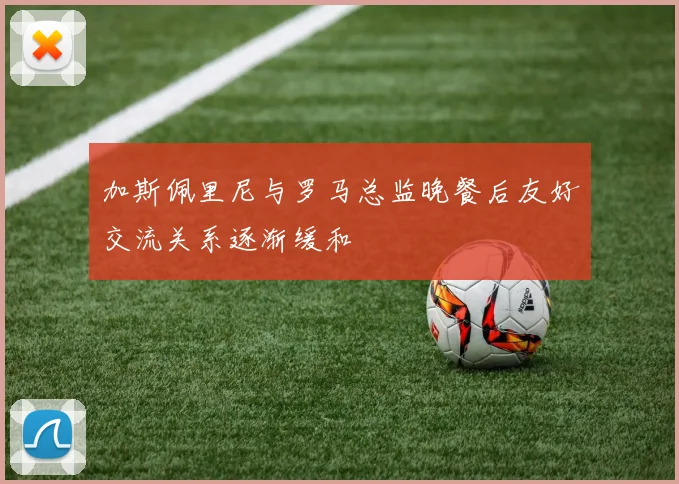 加斯佩里尼与罗马总监晚餐后友好交流关系逐渐缓和
